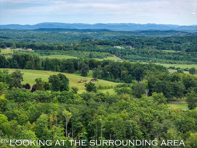 bird's eye view featuring a forest view and a mountain view