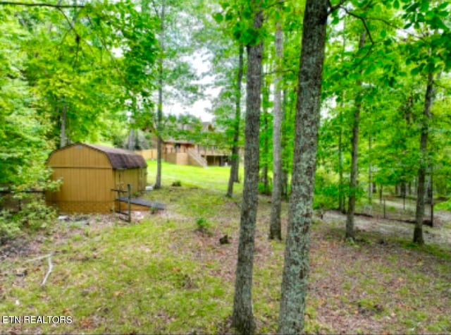 view of yard with a storage shed