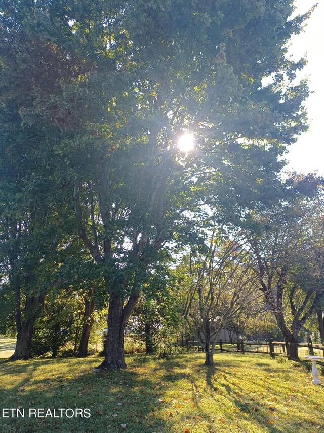 view of local wilderness