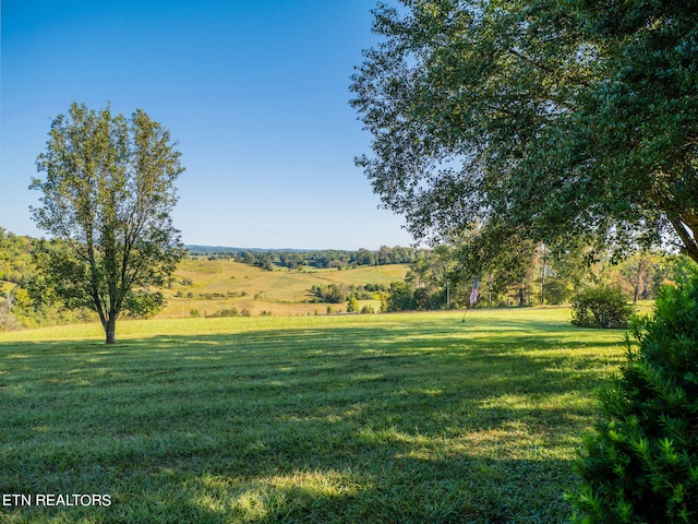 view of yard with a rural view