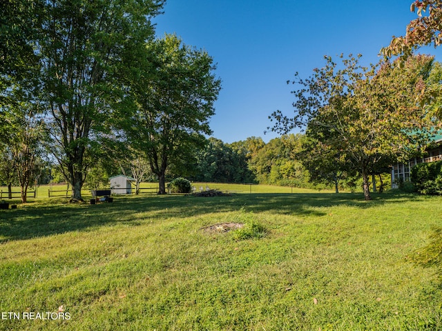 view of yard with a storage shed