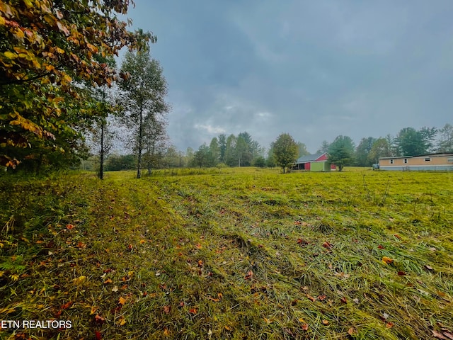 view of yard featuring a rural view