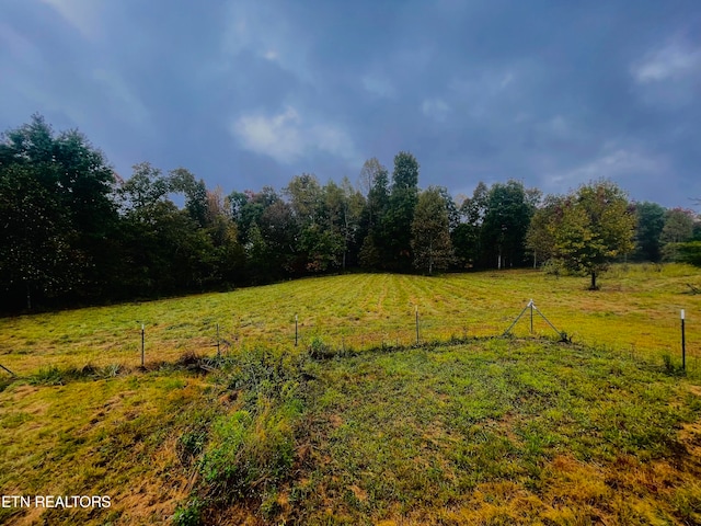 view of yard with a rural view