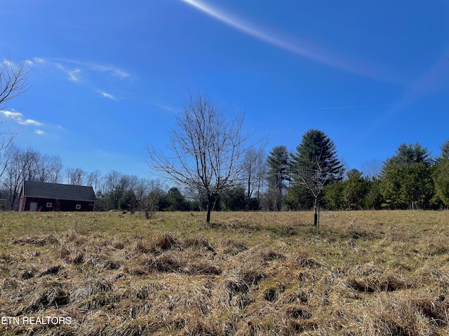 view of yard featuring a rural view