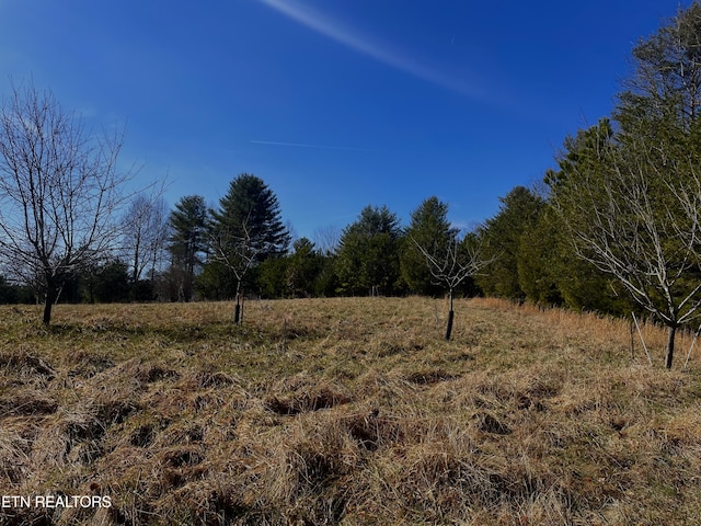 view of local wilderness featuring a rural view