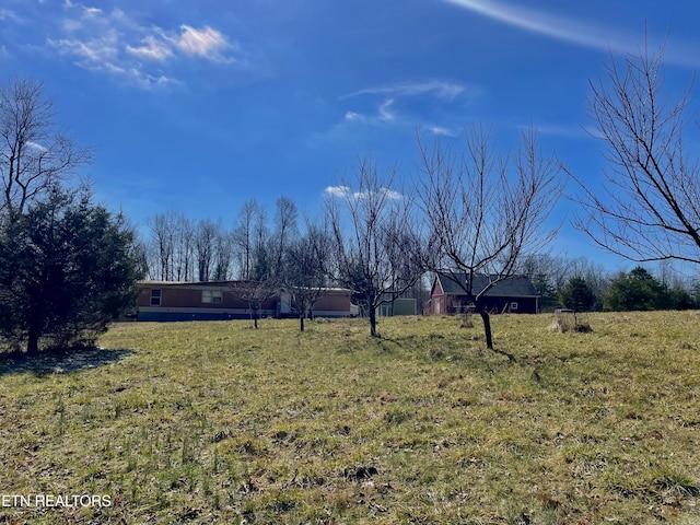 view of yard featuring a rural view