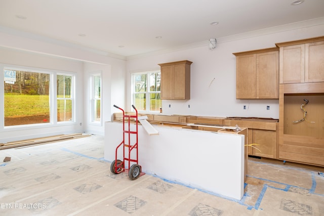 kitchen featuring ornamental molding