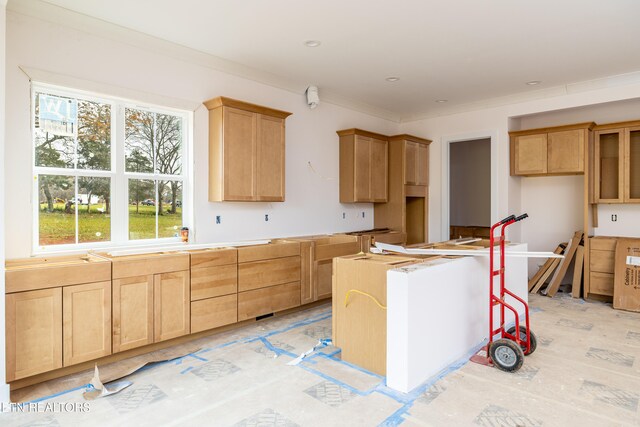 kitchen with ornamental molding