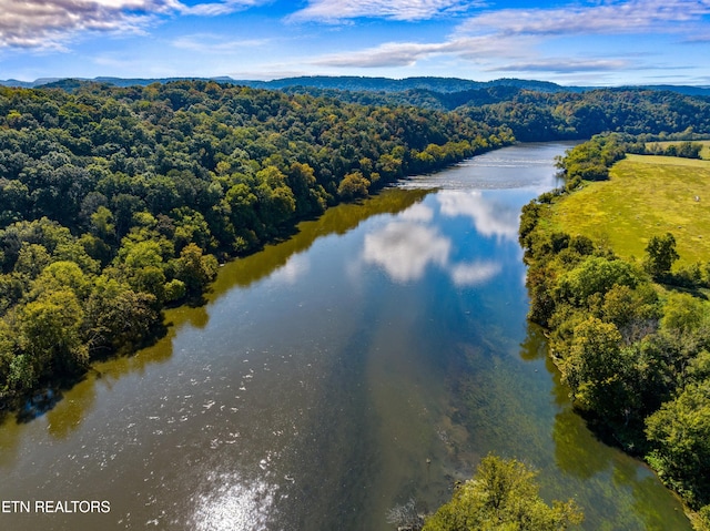 aerial view with a water view and a forest view