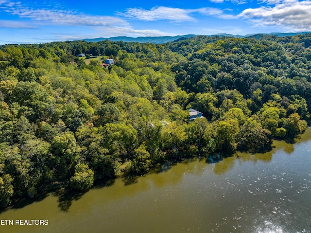 birds eye view of property with a water and mountain view and a view of trees