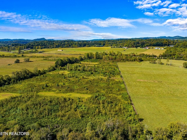 birds eye view of property featuring a mountain view and a rural view