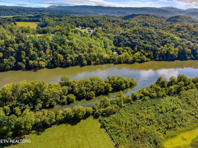 birds eye view of property with a water view and a forest view