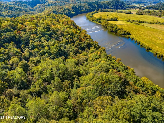 birds eye view of property with a water view and a view of trees