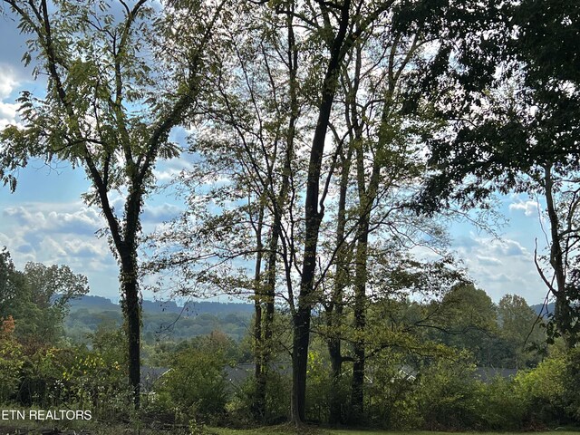 5522 Old Tazewell Pike, Knoxville, TN 37918 - photo 17