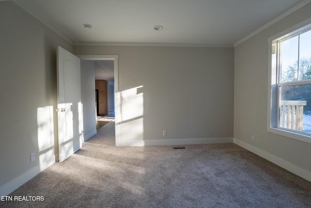 carpeted empty room featuring a healthy amount of sunlight and ornamental molding