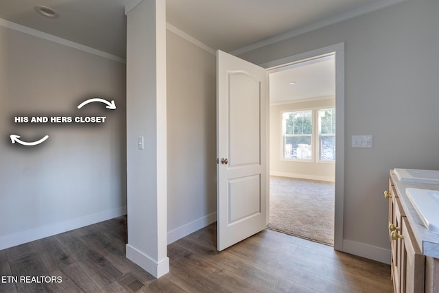 bathroom with vanity, crown molding, and wood-type flooring