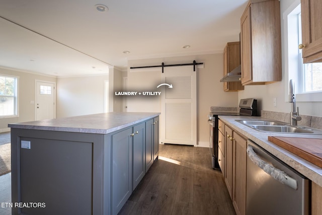 kitchen featuring dark hardwood / wood-style flooring, sink, appliances with stainless steel finishes, a barn door, and a center island