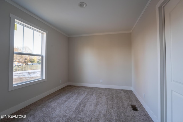 bonus room featuring carpet flooring