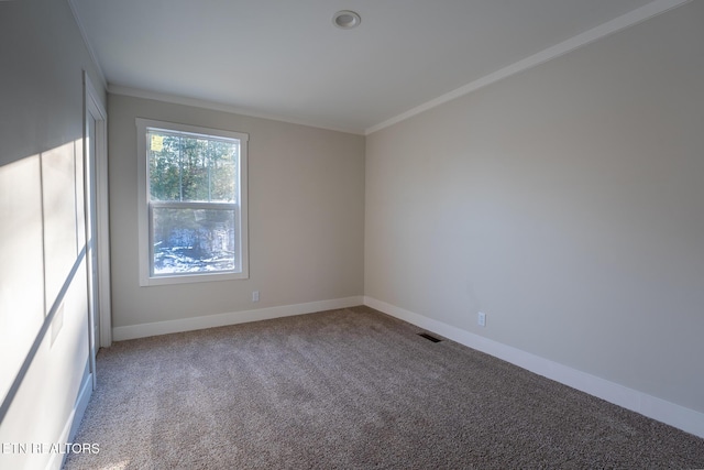 spare room with crown molding and carpet flooring