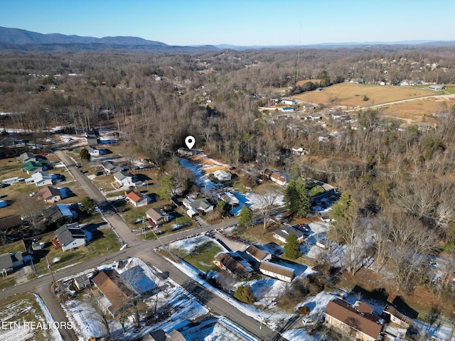 aerial view with a mountain view