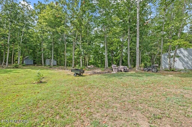 374 Shiloh Ln, Smithville, TN 37166 - photo 31