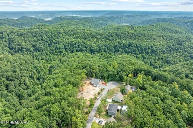 374 Shiloh Ln, Smithville, TN 37166 - photo 32