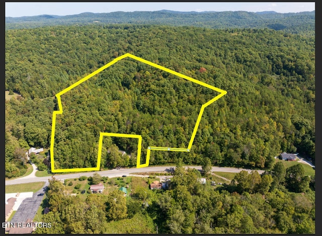 Paint Rock Rd, Oneida TN, 37841 land for sale