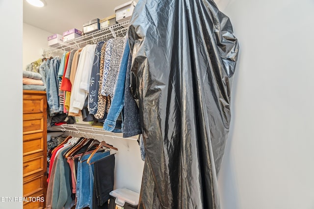 view of spacious closet