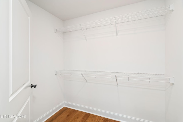 spacious closet featuring wood-type flooring