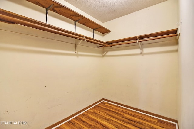 spacious closet featuring hardwood / wood-style floors