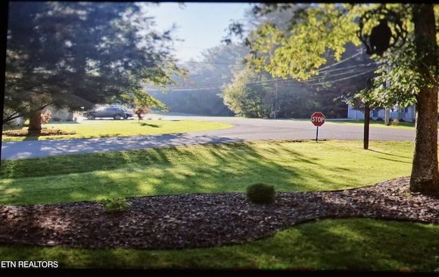 view of property's community featuring a lawn