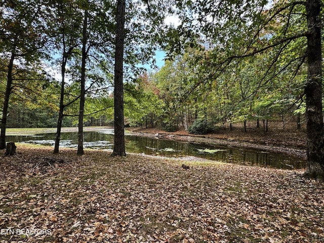 view of nature featuring a water view