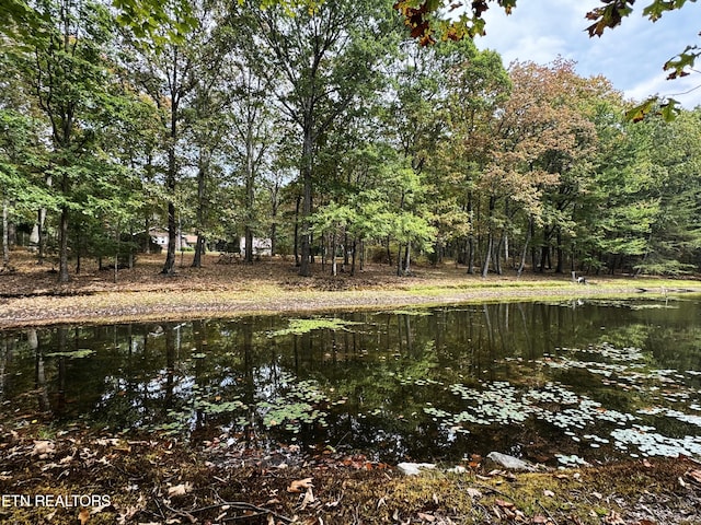 view of nature featuring a water view