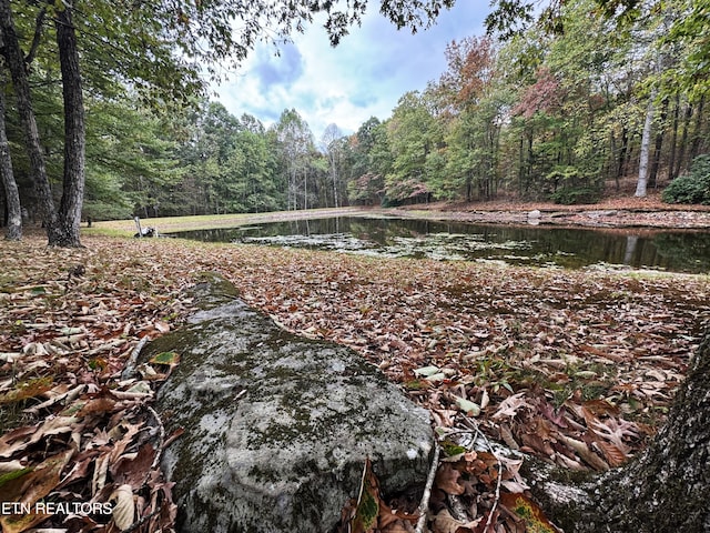 view of nature with a water view