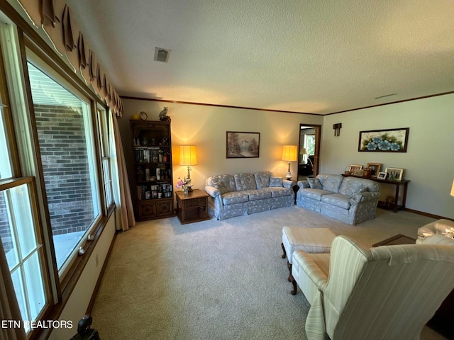 carpeted living room with a textured ceiling and plenty of natural light