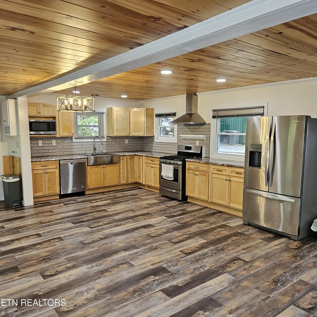 kitchen featuring sink, stainless steel appliances, wall chimney exhaust hood, and dark hardwood / wood-style floors