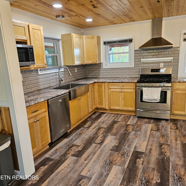 kitchen with dark wood-type flooring, tasteful backsplash, wall chimney exhaust hood, stainless steel appliances, and sink