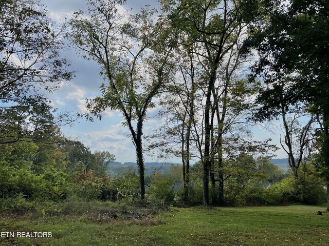 view of nature