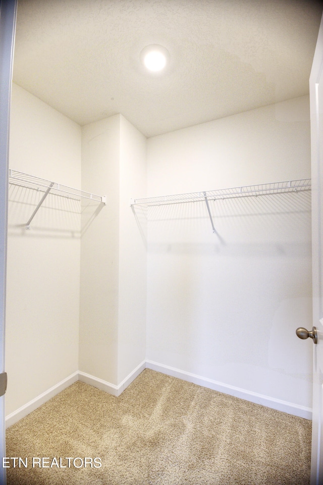 spacious closet with carpet flooring