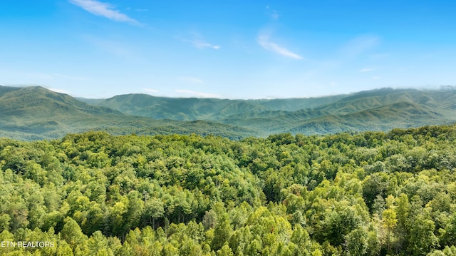 view of mountain feature