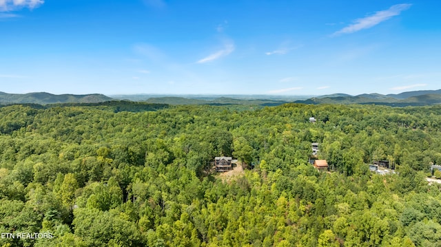 birds eye view of property featuring a mountain view