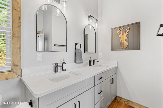 bathroom featuring hardwood / wood-style flooring and vanity