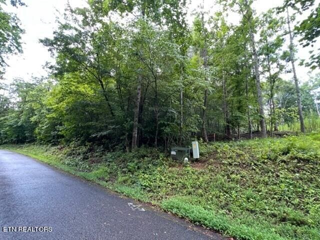 Hazelwood Ct, Baneberry TN, 37890 land for sale