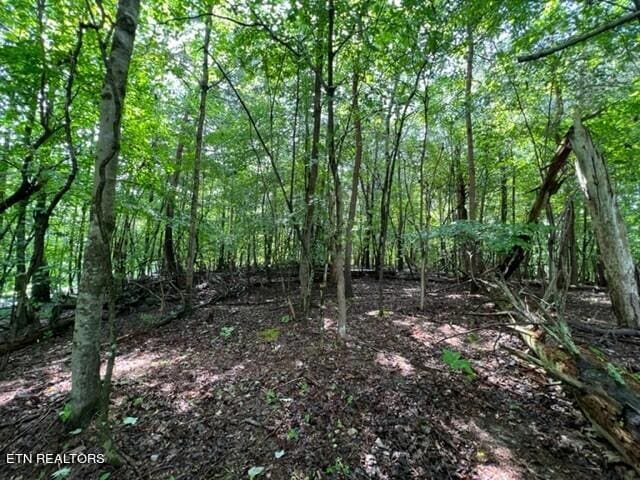 Listing photo 3 for Hazelwood Ct, Baneberry TN 37890