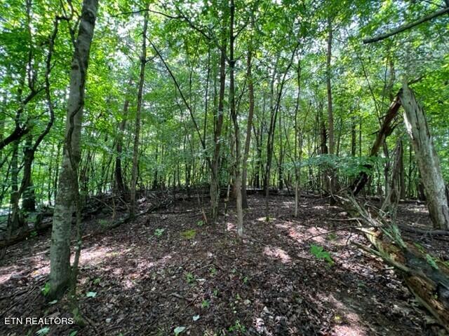Hazelwood Ct, Baneberry, TN 37890 - photo 3