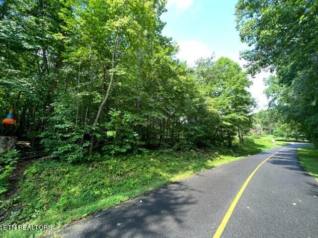 Hazelwood Ct, Baneberry, TN 37890 - photo 5