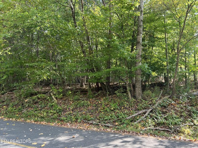 Hazelwood Ct, Baneberry, TN 37890 - photo 6