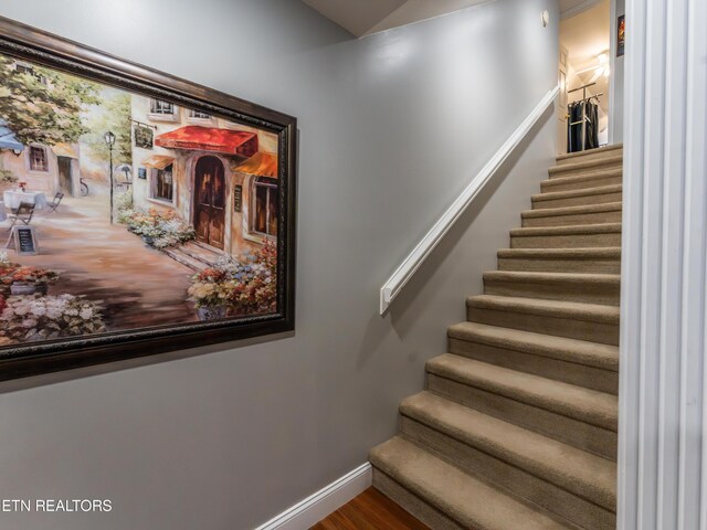 stairs with hardwood / wood-style floors