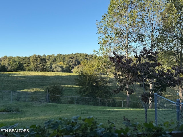 view of yard with a rural view