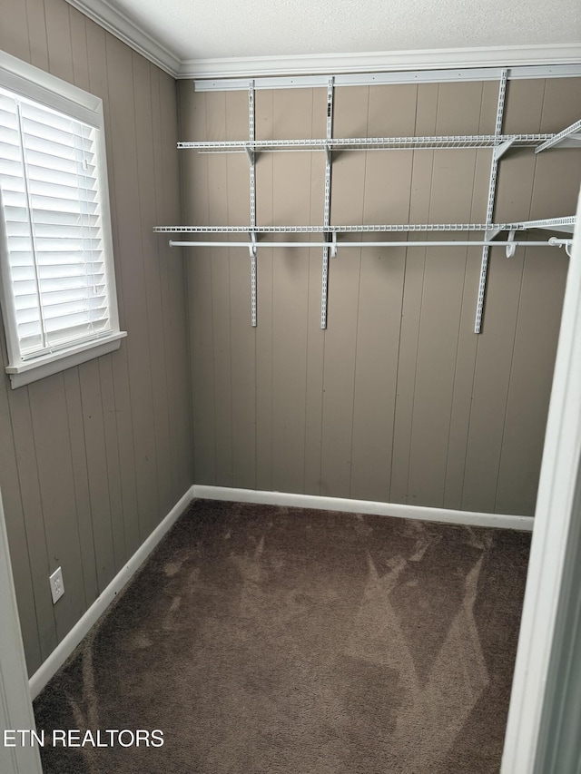 walk in closet with dark colored carpet